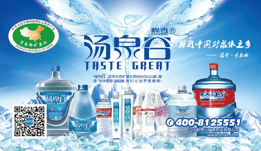 岭秀汤泉谷天然矿泉水亮相第十届APEC中小企业技术交流暨展览会